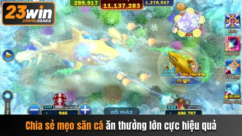 Chia sẻ mẹo săn cá ăn thưởng lớn cực hiệu quả