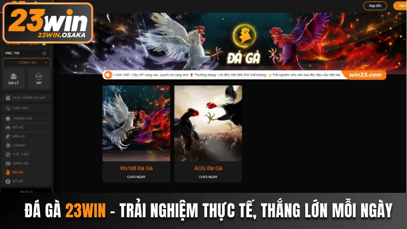 da-ga-23win