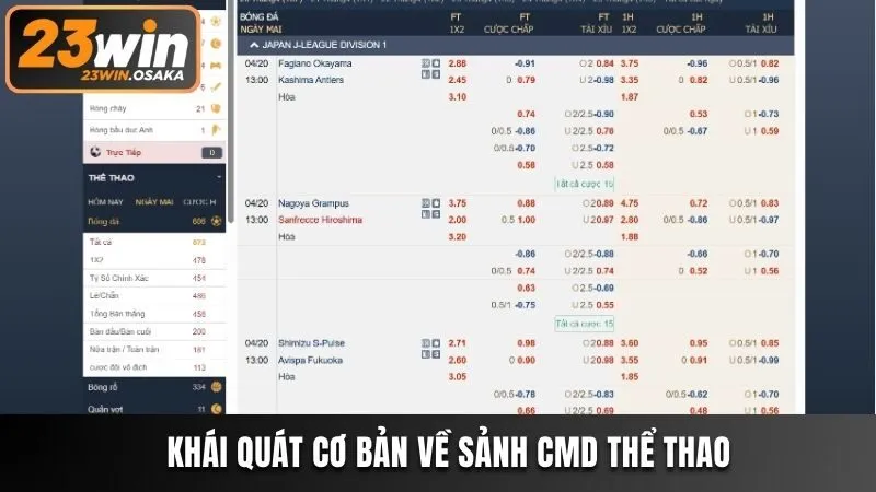 Khái quát cơ bản về sảnh CMD thể thao